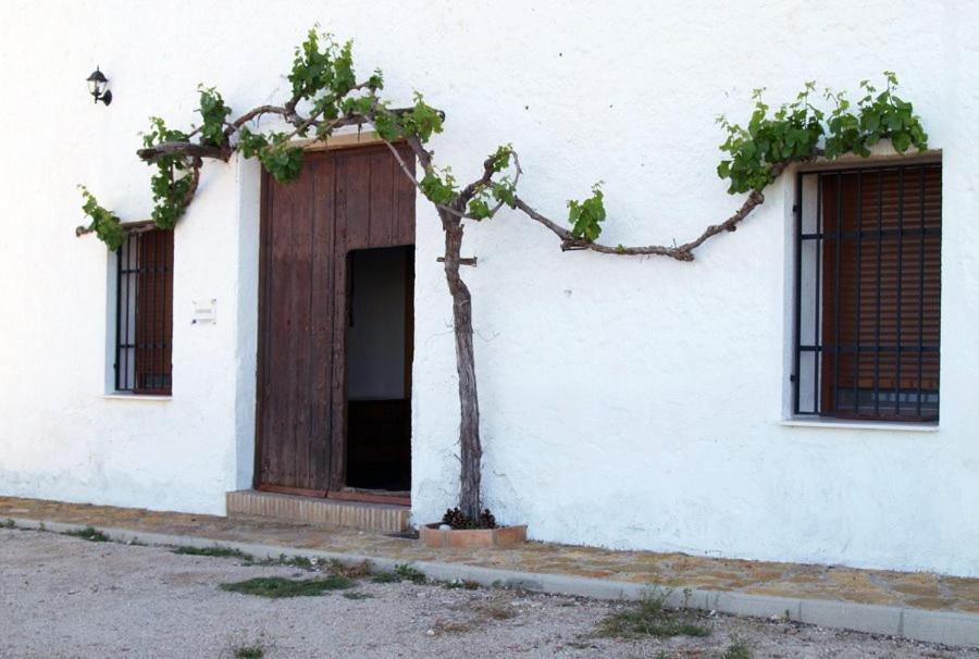 Casa Rural Casa Máxima Yecla Camera foto